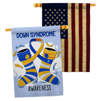 Double Sided 40'' H x 28'' W Polyester House Flag