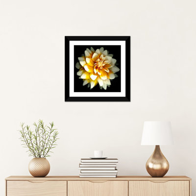 " Dahlia " by Susan Barmon