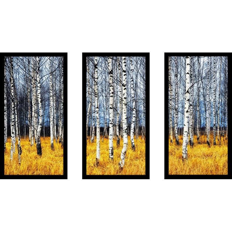 Birch Trees Landscape Framed Print Set - 25.5" H x 40.5" W
