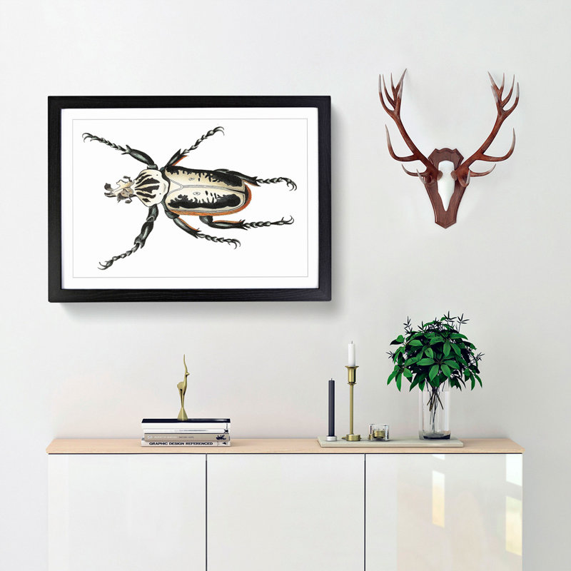 Goliath Beetle by George Shaw - Picture Frame Painting Print, Black Framed, 27cm H x 36cm W x 2cm D