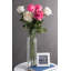 Tige de rose-828026673