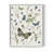 Botanical Page II Framed Print - Solid Wood-1021426150-1021426153