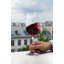 30ml Handmade White Wine Glass Set