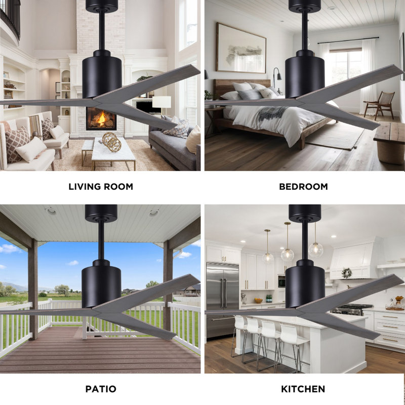 Eliza Outdoor Downrod Ceiling Fan, Old Oak Tone, Matte Black