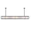 Chestnut Hill 12 - Light Pendant