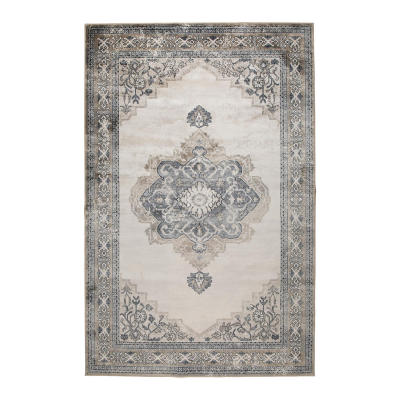 Mahal Oriental Area Rug in Gray/Brown/Beige, Rectangle 6' x 8'