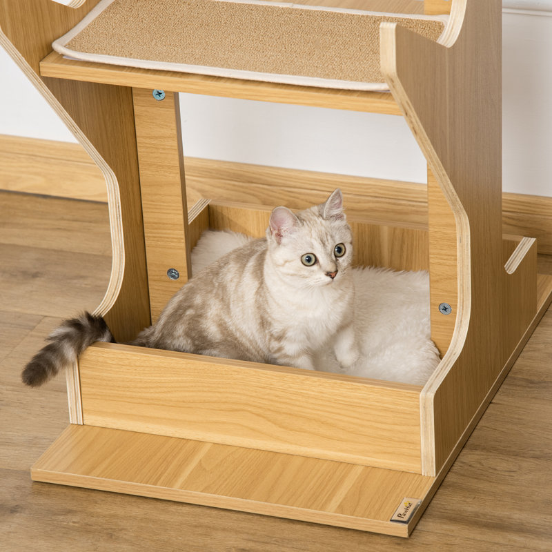 Aleatha 49.2'' H Cat Tree
