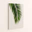 Palm Leaf I - Print-39523774-39600538