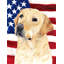 2 côtés en polyester de 2 côtés american drapeau de jardin-1288238449