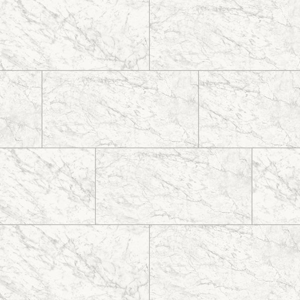 Frost 12X24 Carrara