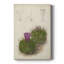 Cactus antique II - peinture sur toile tendue-1309131603