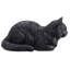 Chat tigré noir au repos-126248605