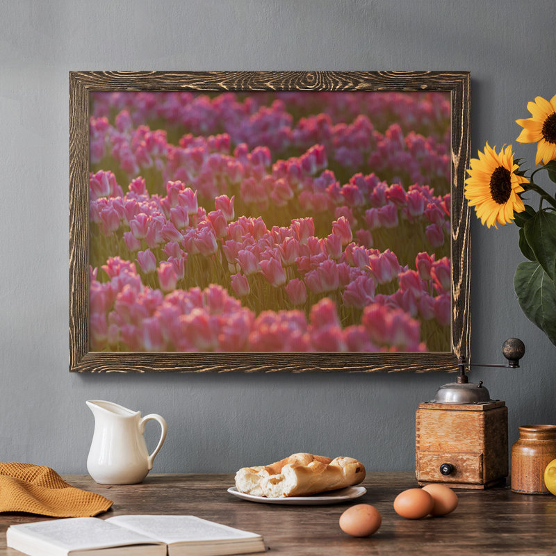 Field of Tulips I, reproduction d'art sur toile, Noyer, H 18 po x l 26 po x P 1,5 po