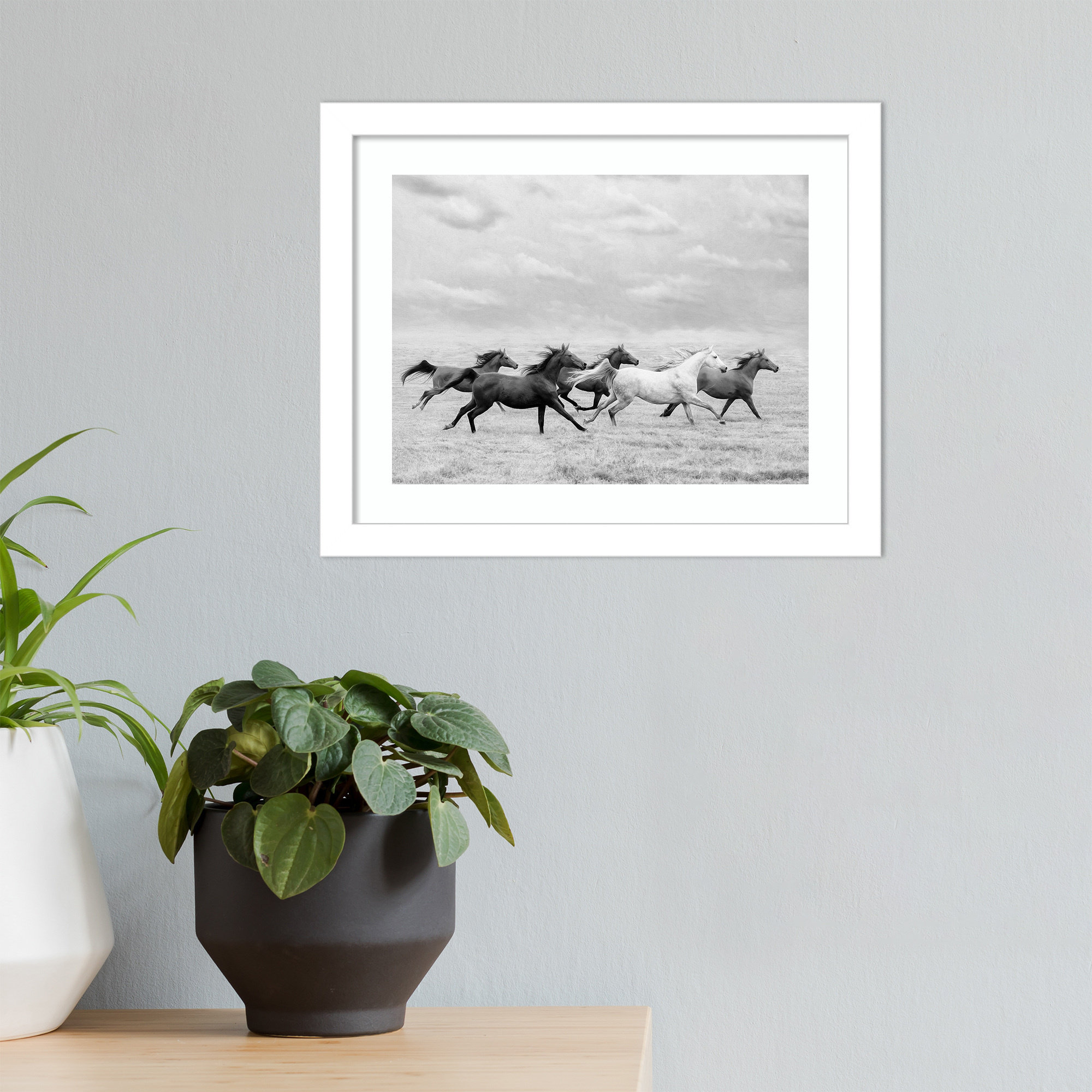Horse Run I by PHBurchett, 20" H x 25" W, White