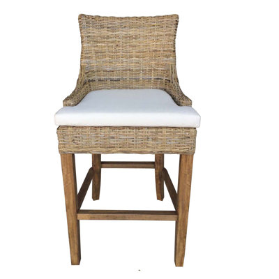 Dannisha High-Density Polyethylene (HDPE) Wicker Outdoor 44'' Stool with Cushion