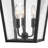 Huntersfield 3 -Bulb 17.75" H Outdoor Hanging Lantern-55180491