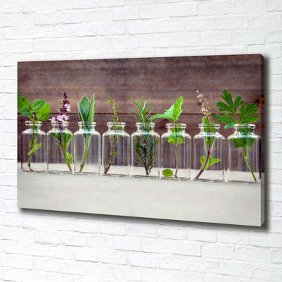Plants In Jars - Wrapped Canvas Print