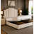 Black Plush Velvet
