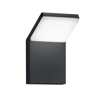 Edzard LED Outdoor Sconce