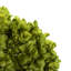 Natural Botanicals 15" Hydrangea with Multiple Branch Segments, Preserved-846458523