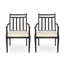 Ensemble de 2 chaises d'extérieur pour l'extérieur, avec accoudoirs et coussins de patio, résistant aux intempéries, noir