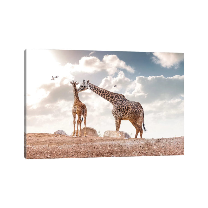 Mother Showing Affection To Baby Masai Giraffe by Susan Schmitz - Wrapped Canvas Gallery-Wrapped Canvas Giclée