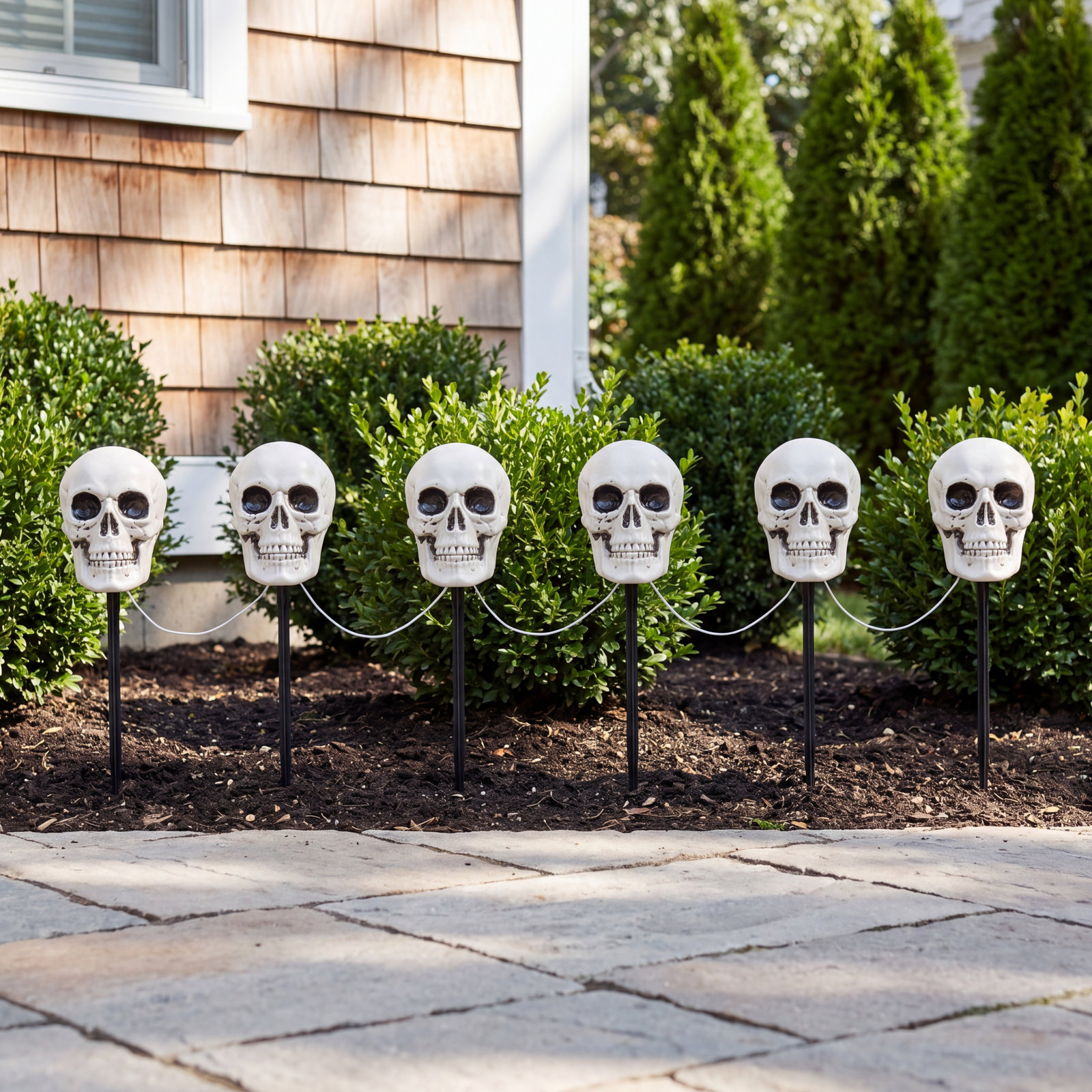 Halloween Decoration