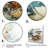 Curious Shark Ocean Blooms I - Shark Wall Art-31468820-31468907