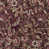 Aubergine selected