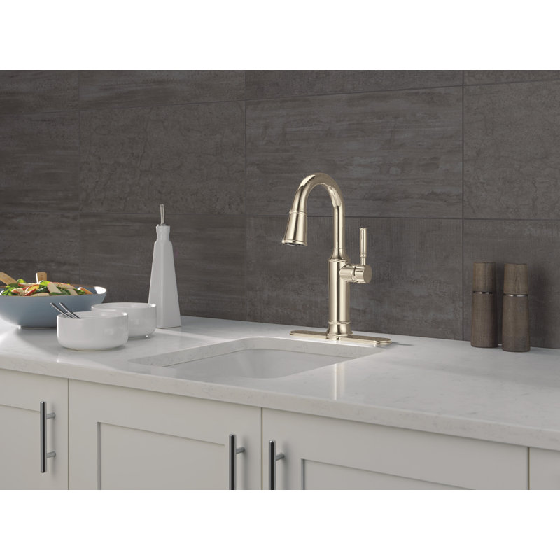 Robinet de bar pulvérisateur rétractable à poignée simple Renaldi, Nickel poli Lumicoat