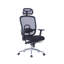 Office Chair with Headrest