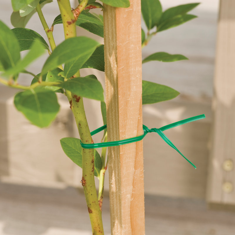 Weather Resistant Plant Support