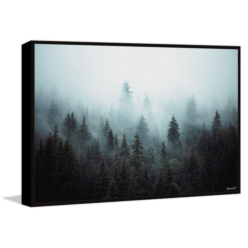 Foggy Pine Forest - Print, 30cm H x 45cm W x 3.81cm D, Black Floater Frame Canvas