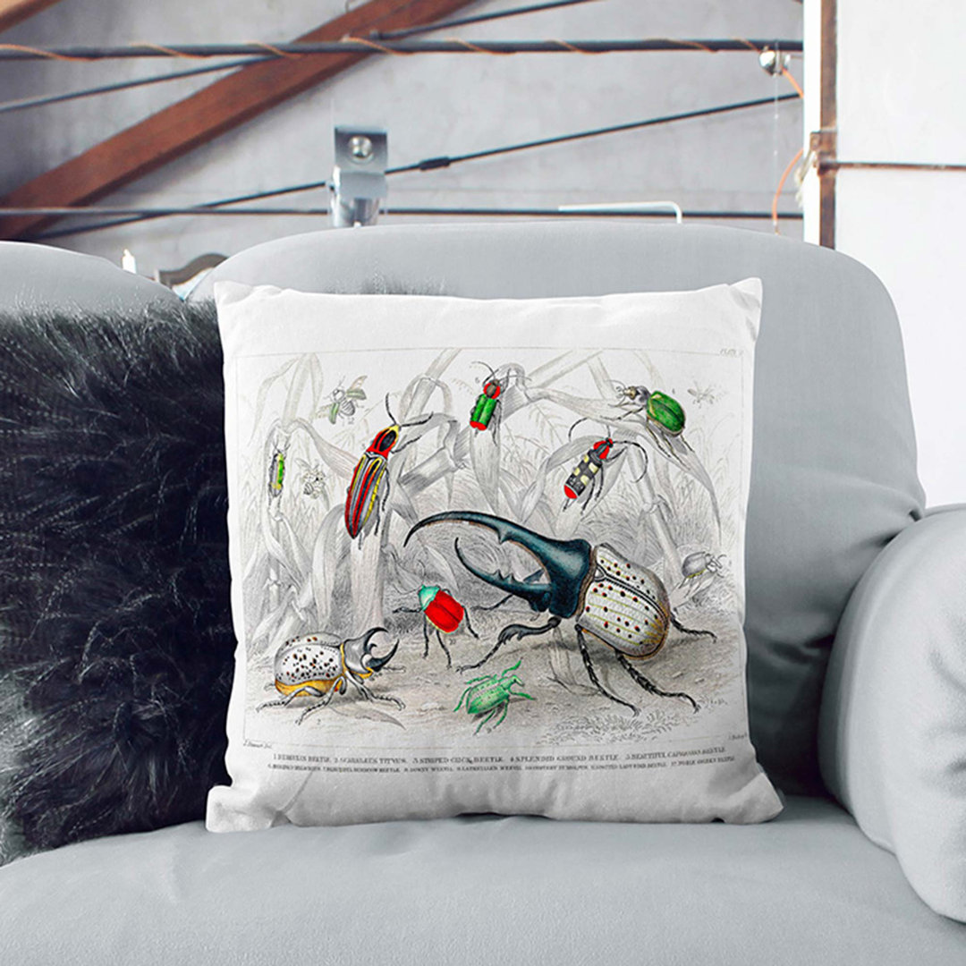 Assortment of Beetles PL. 71 by Oliver Goldsmith Cushion with Filling
