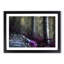 Path Through a Forest in Vancouver - Framed Print-55578158-55578159