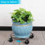 Support pour plante de jusuf