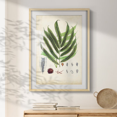 Codeah -Gallery Wrapped Canvas