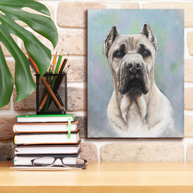 Cane Corso 2 sur toile par Barbara Keith, H 16 po x l 12 po x P 0,75 po