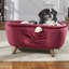 Polyester Pet Bed-448706121