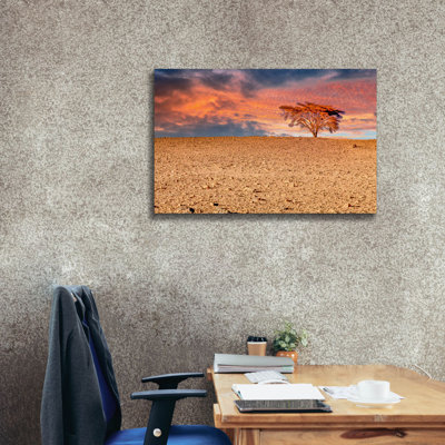 " Sahara Desert Beauty " by Mark A Paulda