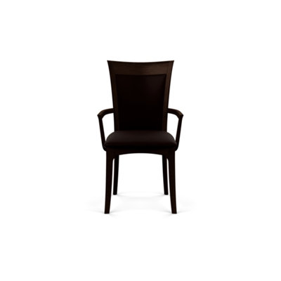 Morgan 19.25'' H Upholstered Armchair