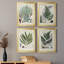 Collection Ferns I - ensemble de 4 peintures sur toile encadrées-528512148-528512147