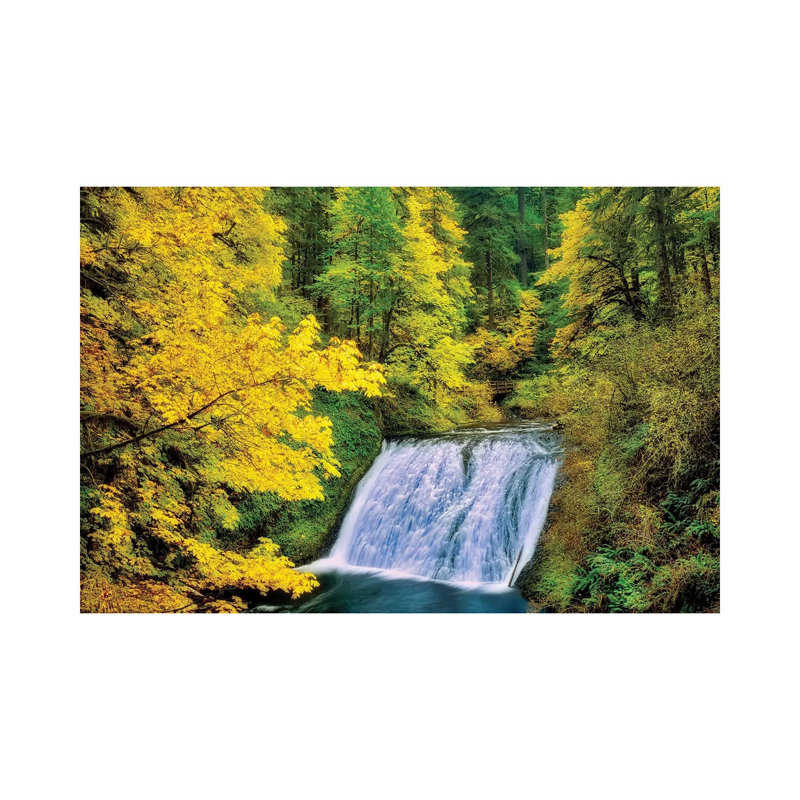 Silver Autumn Falls by Dennis Frates - Wrapped Canvas Print, 20.32 cm H x 30.48 cm W