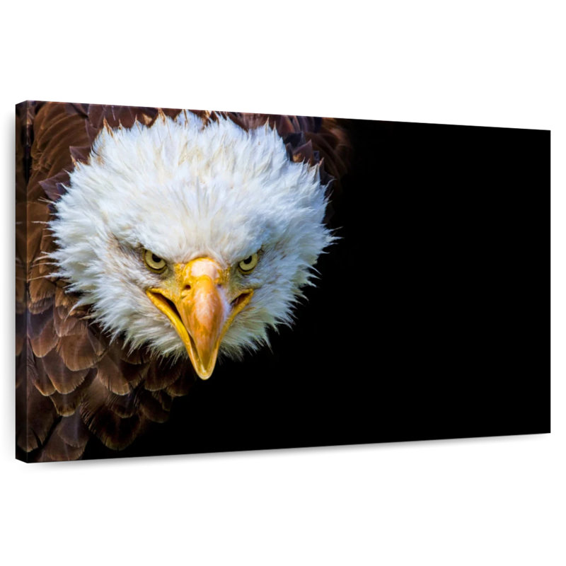 Crowle Fiery Bald Eagle, 20" H x 30" W