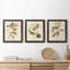 Oiseau de riz Wandering, reproduction d'art sur toile-1813864139-1813864142