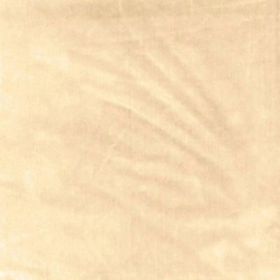 Venetian Silk Velvet Fabric