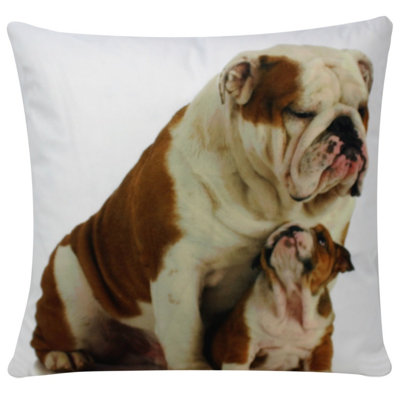 Doshier Animal Print Square Euro Cushion Cover