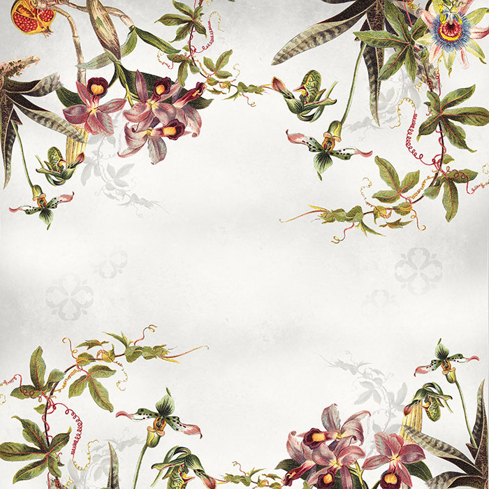 ClassicLiving Rivoli Wallpaper | Wayfair.co.uk