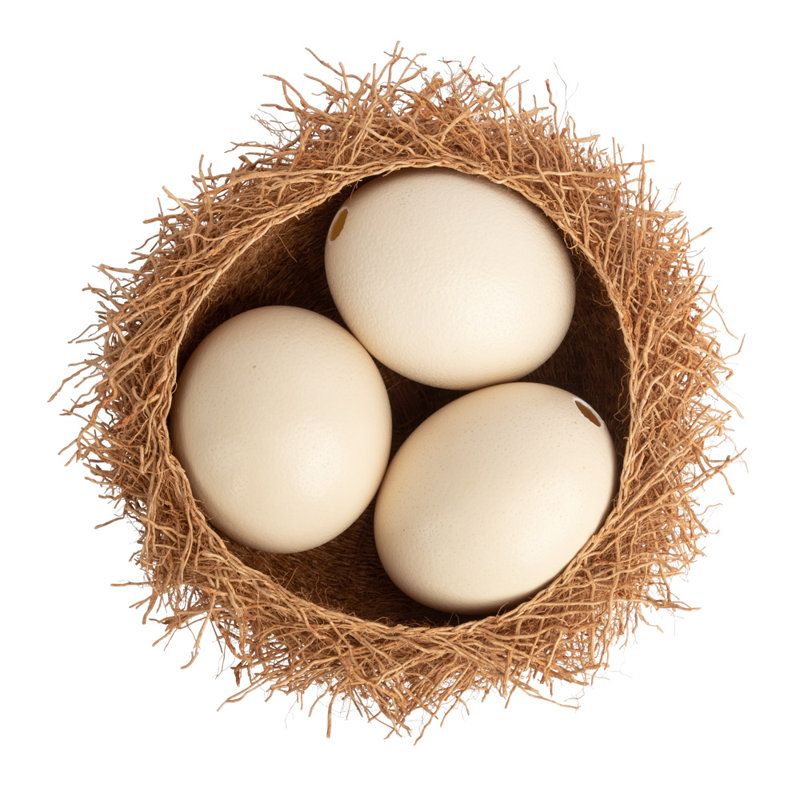 Genuine Egg