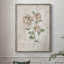 Blush Rose Botanical II, reproduction encadrée - bois massif 49793-156363853